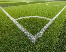 何超莲转战,直播带货,力荐亲民护,半岛体育平台,半岛体育官方网站,半岛体育登录入口,半岛体育app下载