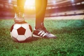 广州车展迎,来福特豪华,明星车队,半岛体育平台,半岛体育官方网站,半岛体育登录入口,半岛体育app下载