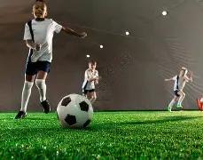 飞鸿应用,半岛体育,半岛体育平台,半岛体育平台,半岛体育官方网站,半岛体育登录入口,半岛体育app下载