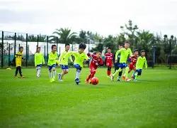 限时惊喜,文末赞赏,即刻解锁,半岛体育平台,半岛体育官方网站,半岛体育登录入口,半岛体育app下载