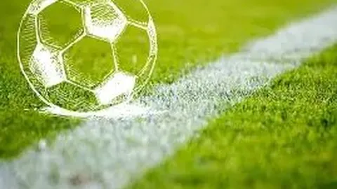 元宵晚会明星名单公布