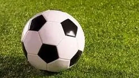 半岛体育 产品 103051 ptt