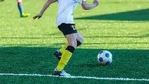 半岛体育 资讯 102316 7q9