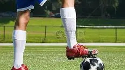 半岛体育 资讯 103059 r6l